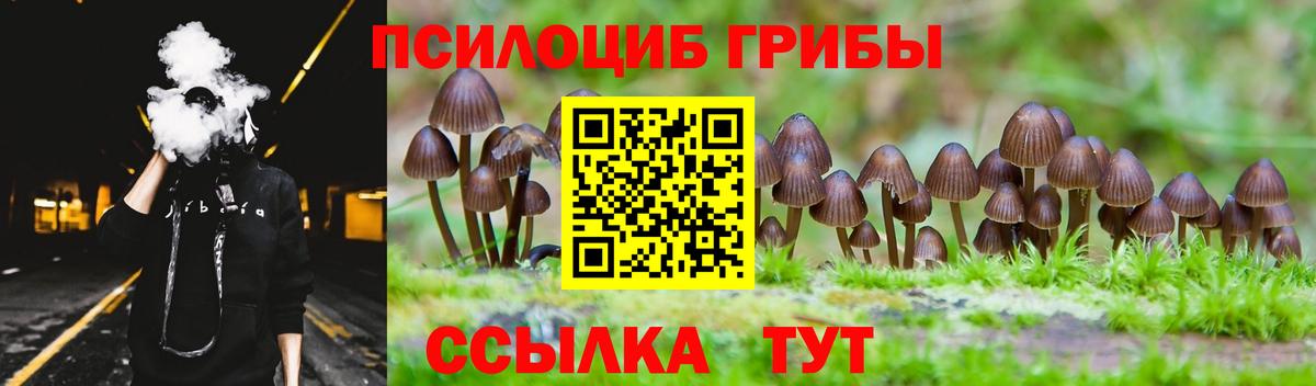 Псилоцибиновые грибы мицелий  Вход с VPN  где купить наркоту  Ивантеевка 