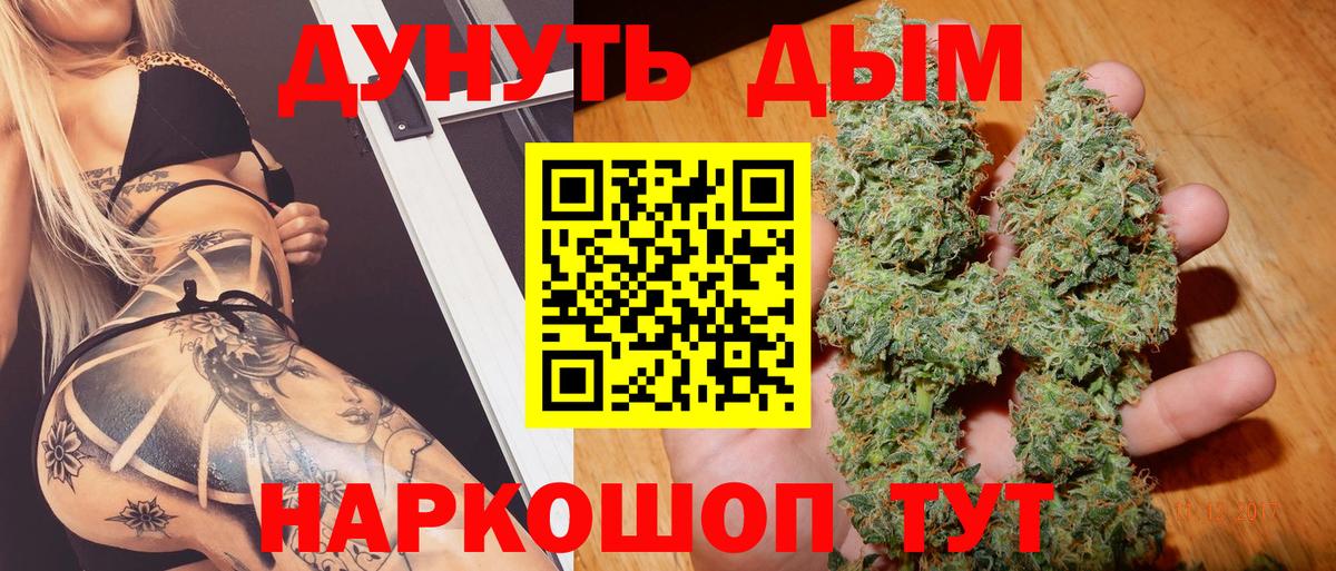 Канабис сатива Ивантеевка
